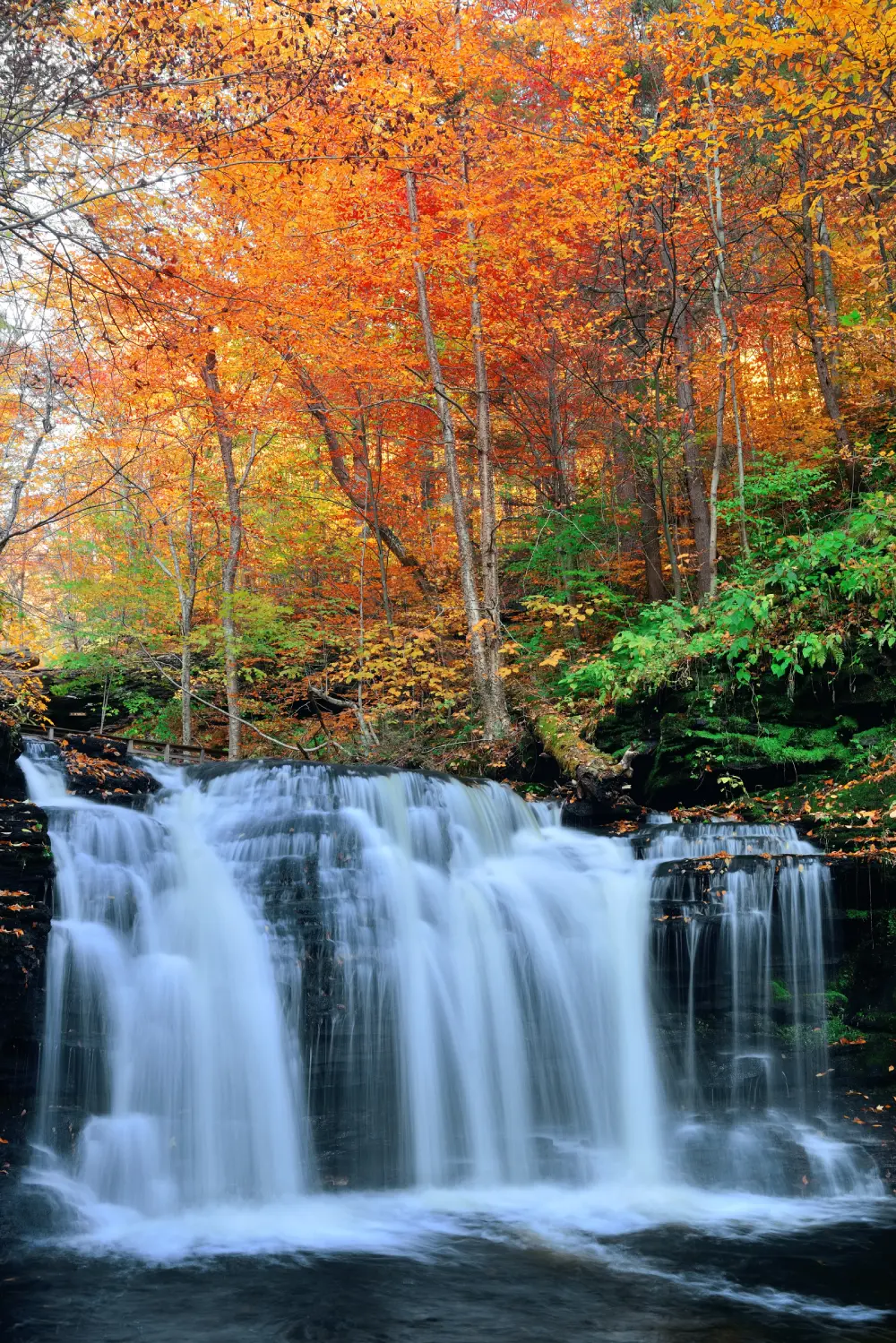 Autumn Waterfalls Park With Colorful Foliage